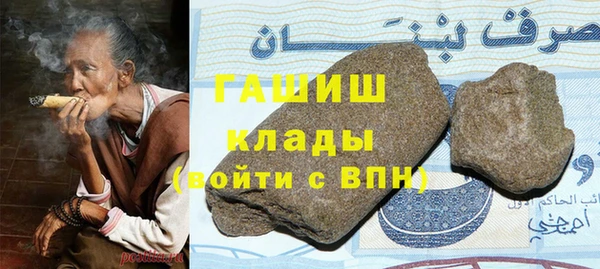 прущие грибы Алзамай