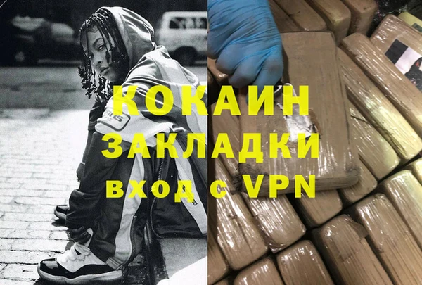 прущие грибы Алзамай