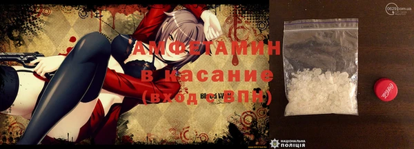 прущие грибы Алзамай