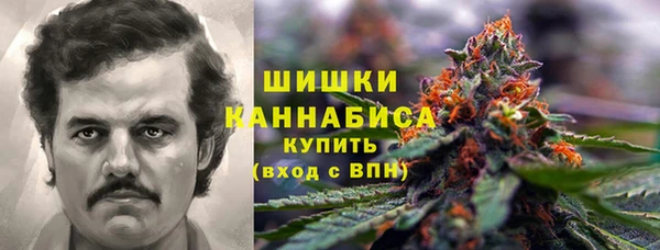 прущие грибы Алзамай