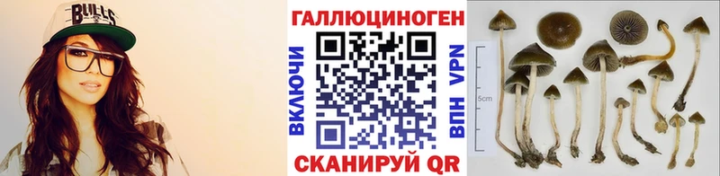 Галлюциногенные грибы прущие грибы  Заинск 