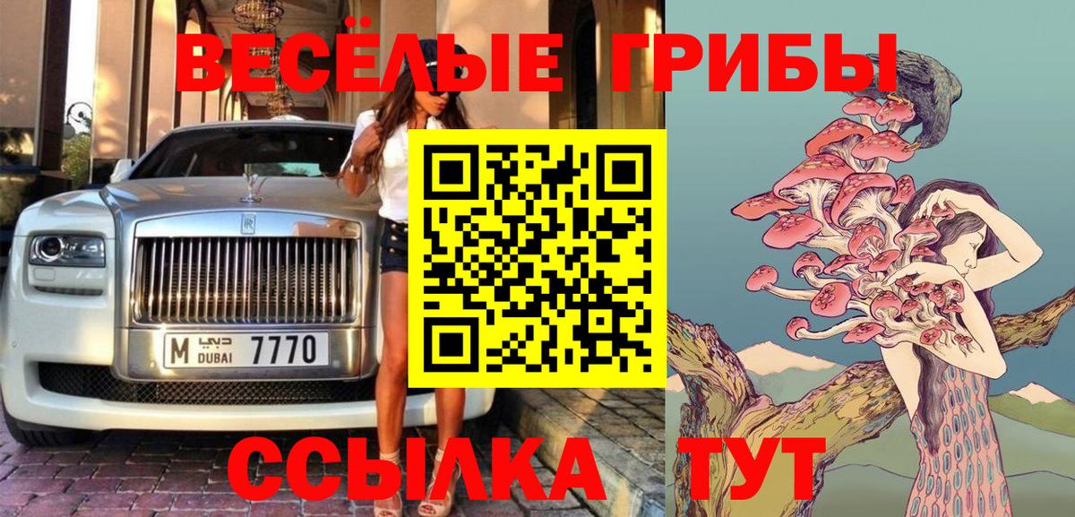 Псилоцибиновые грибы ЛСД  Вход с VPN  Заинск 
